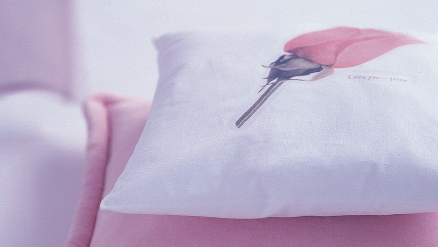 transfert t-shirt coussin