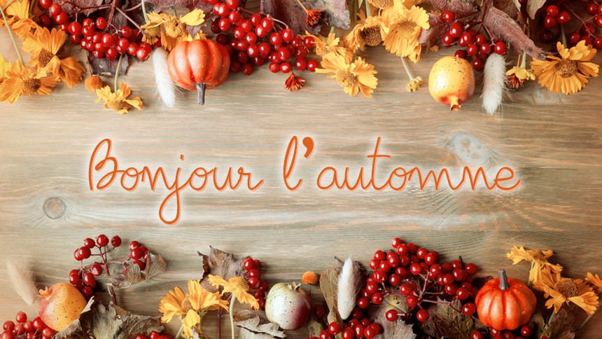 automne inspiration