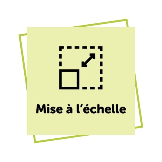 Mise à l'échelle