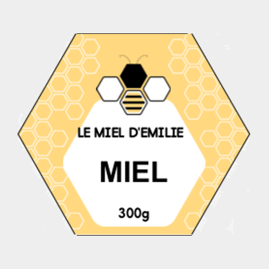 Design étiquette pour pot de miel abeille graphique