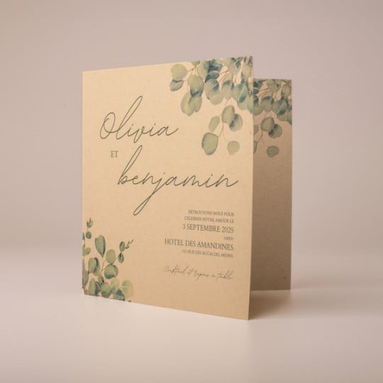 Cartes kraft 330g/m2
