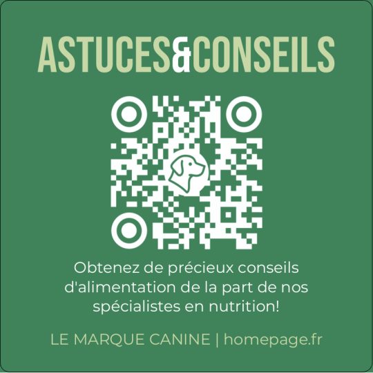 sticker qr code carré conseils