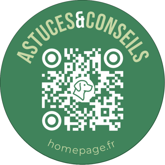 stickers qr code conseils