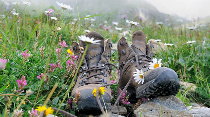 chaussures randonnee
