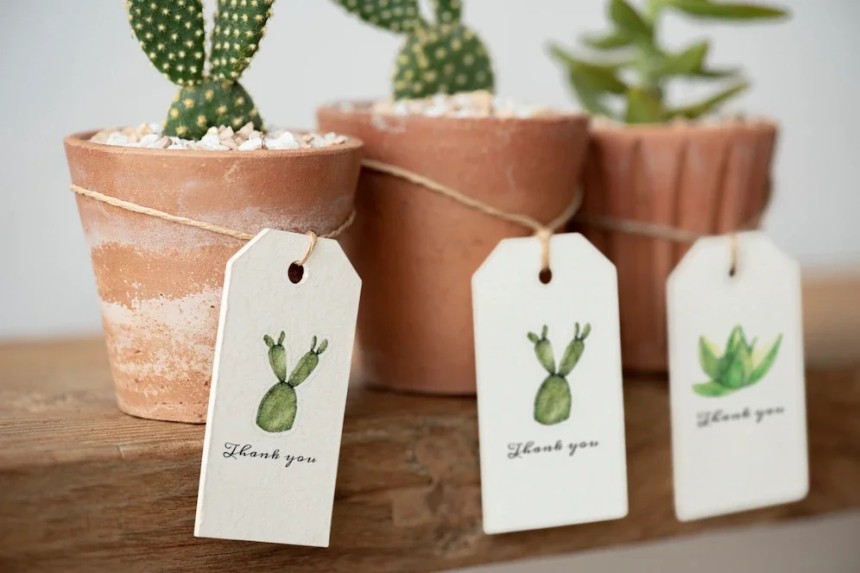 image plantes diy cadeaux invites de mariage