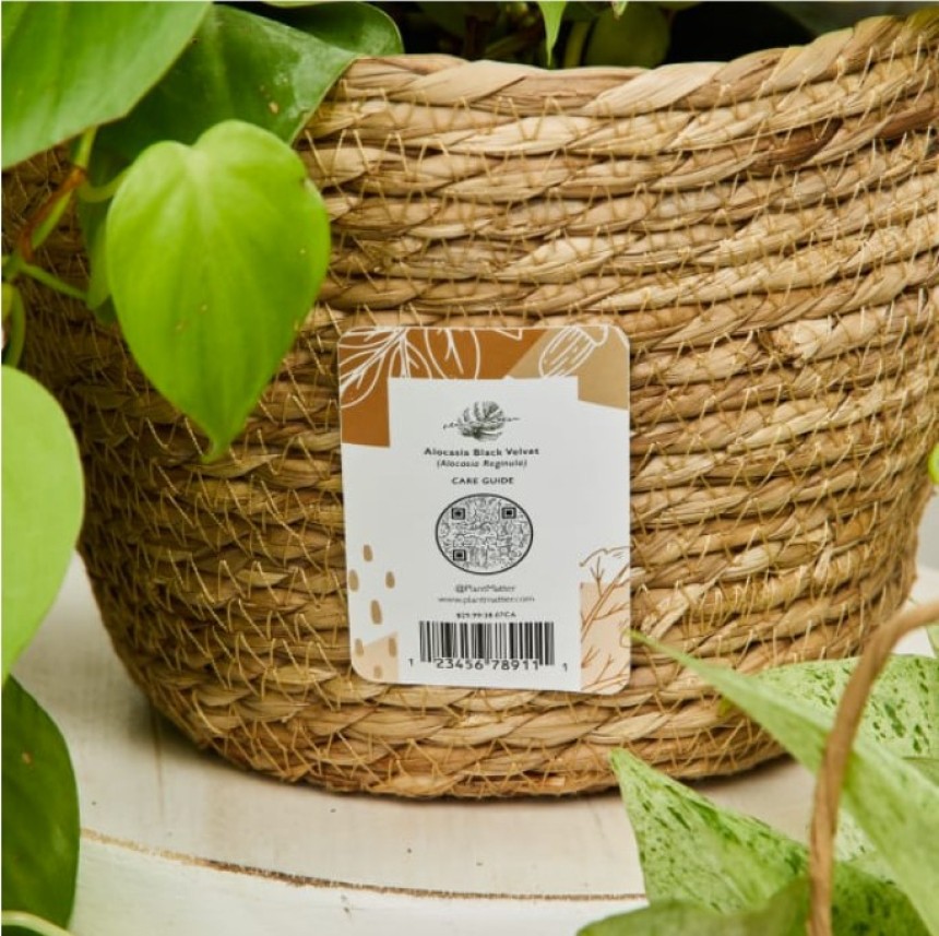 étiquettes code-barres plantes