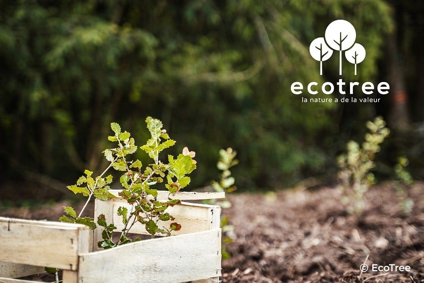 ecotree