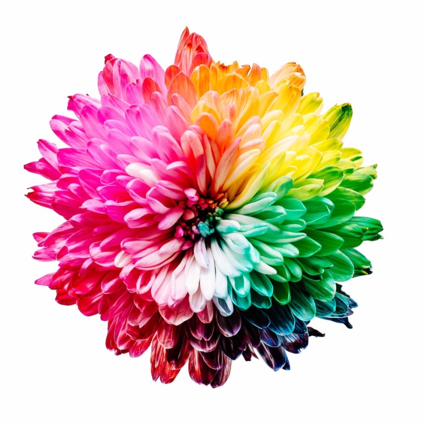 Fleur multicolore