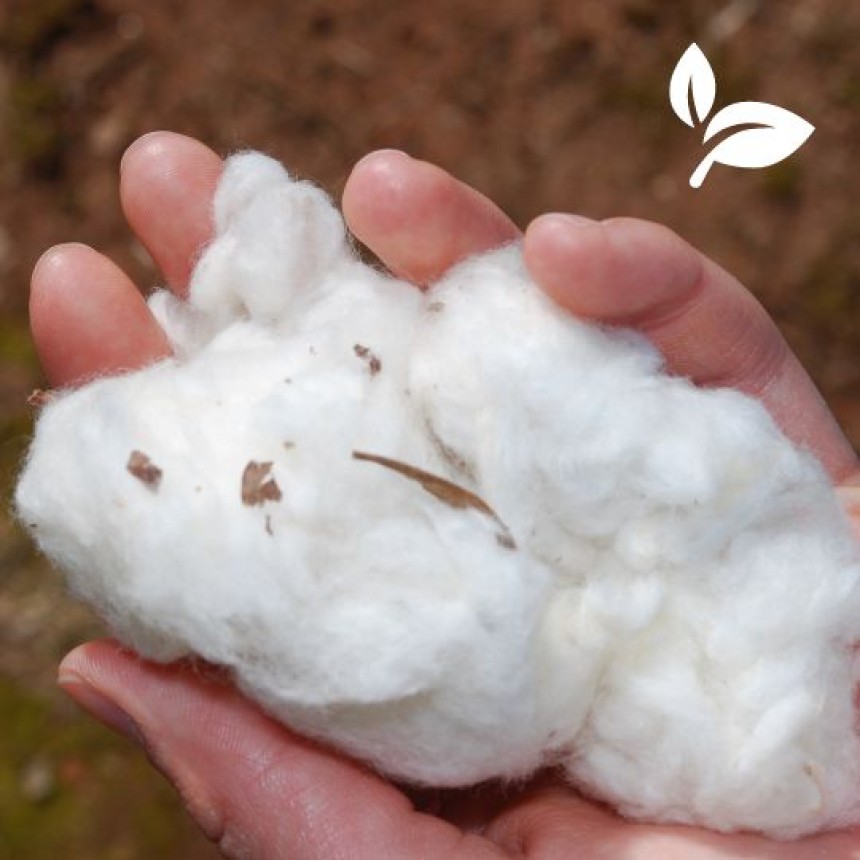 Main tenant du coton