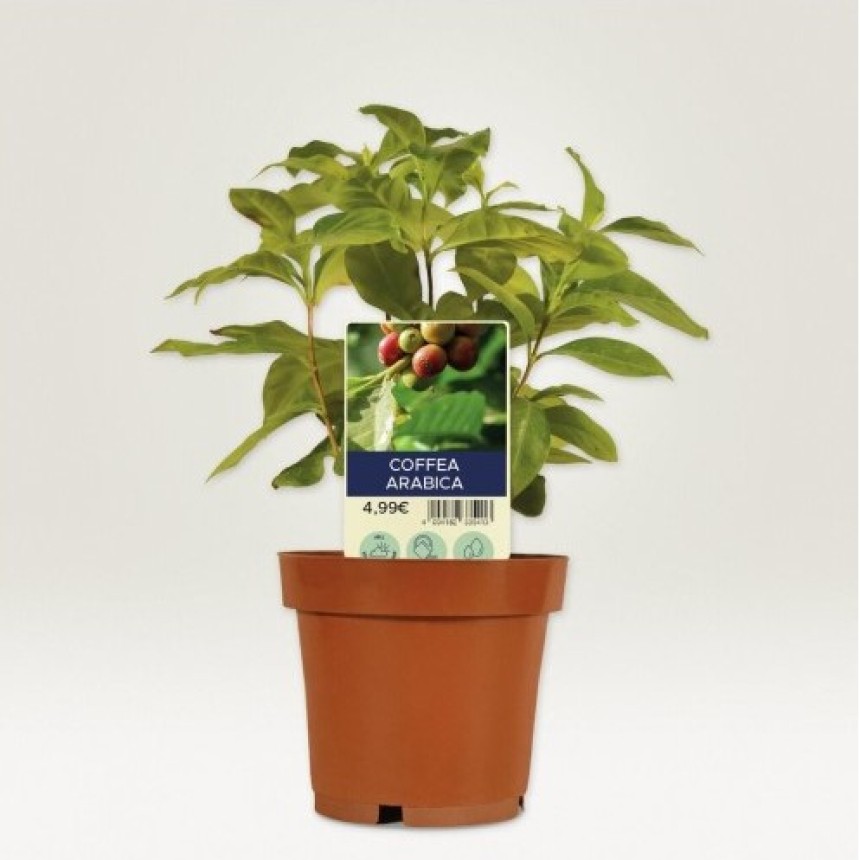 Etiquettes plantes personnalisées