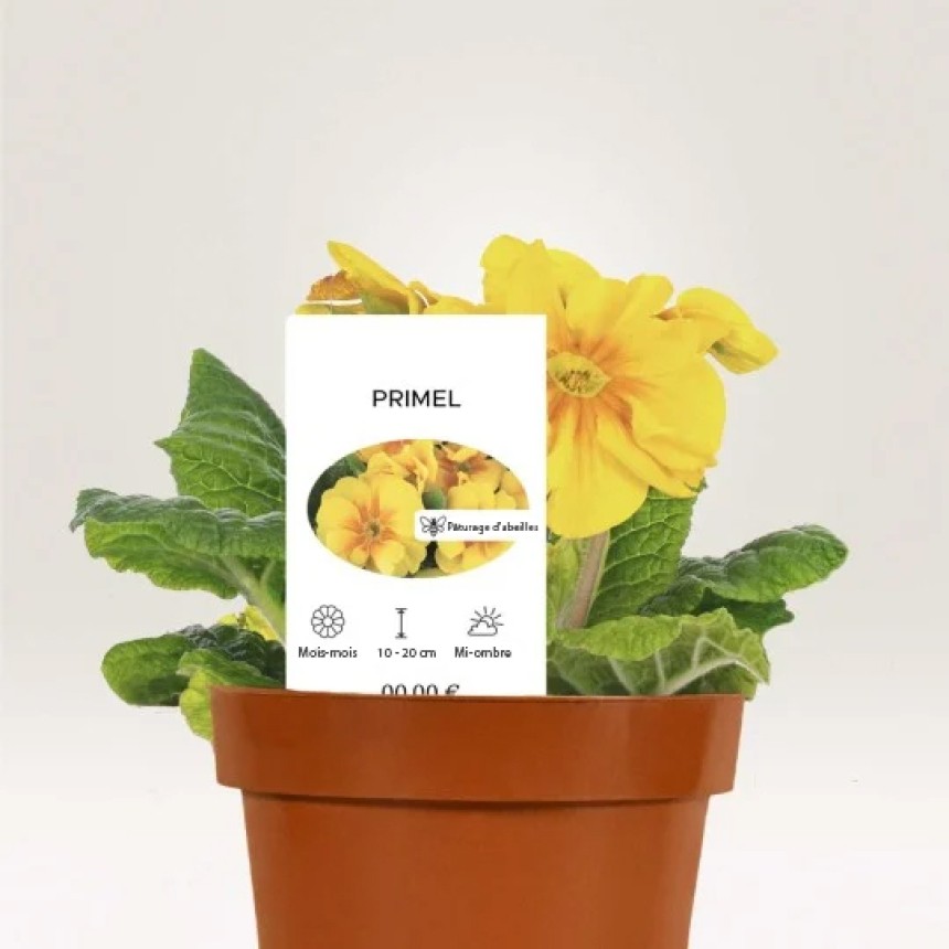 Etiquettes plantes personnalisées