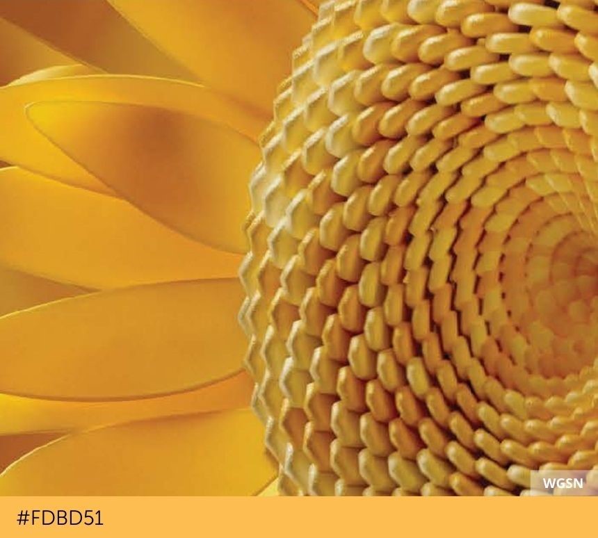 Couleur tendance printemps été 2025 ray-flower