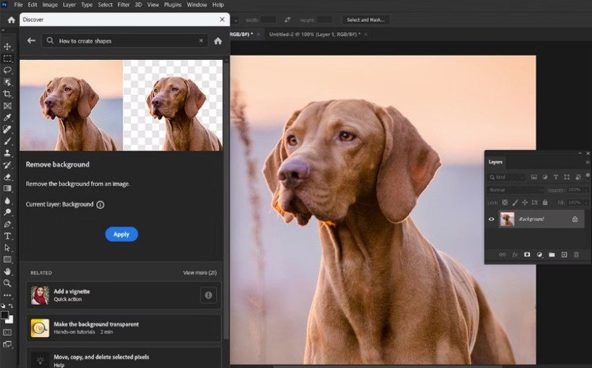 Image montrant la suppression de l'arrière-plan d'une image dans Adobe Photoshop