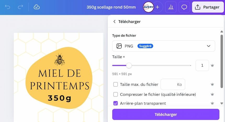 Capture écran montrant le paramétrage d'un fond transparent dans Canva
