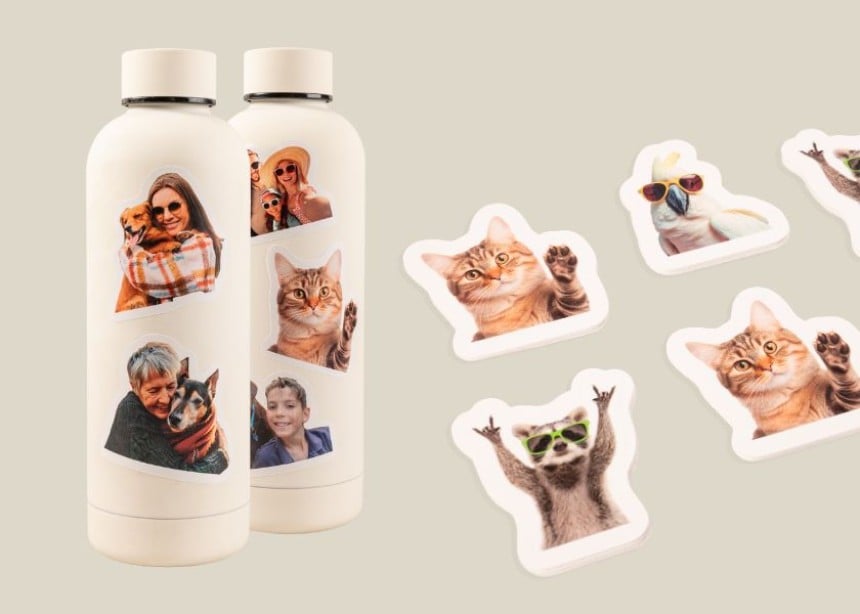 Stickers pour chien et chat Stickers pour chien et chat