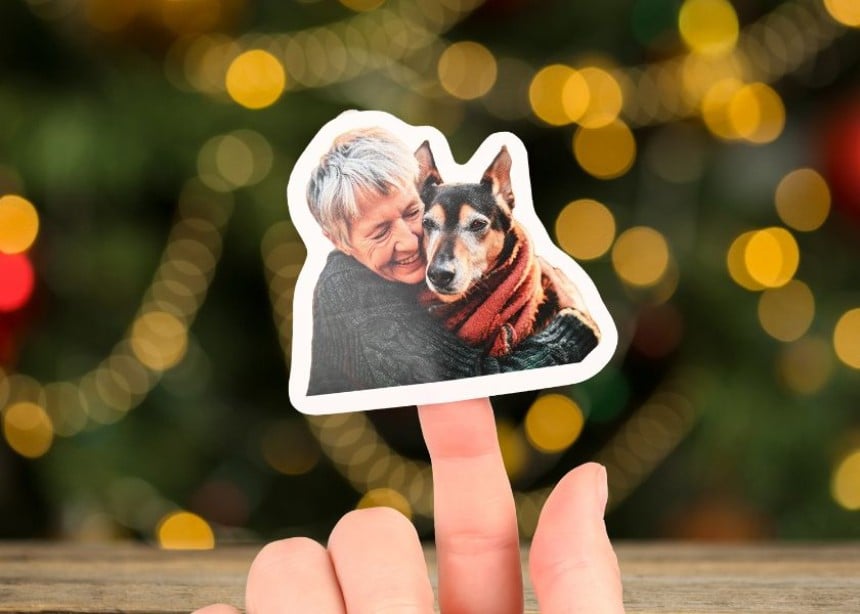 Stickers pour chiens et chats Stickers pour chiens et chats