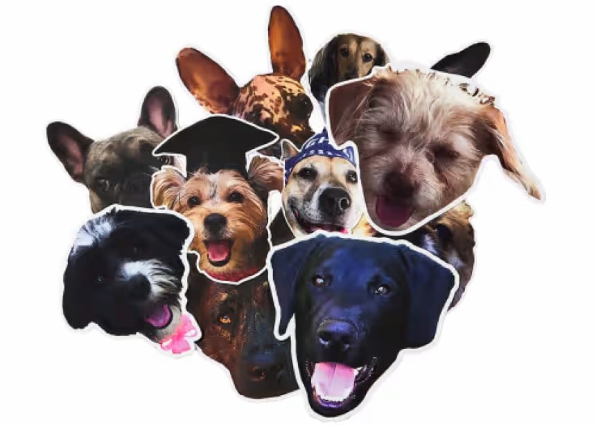Stickers pour chien Stickers pour chien