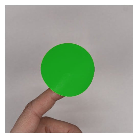 Une main tenant un disque de couleur verte.