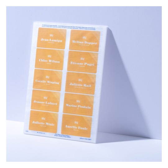 L'image montre une feuille de badges nominatifs avec plusieurs noms et titres professionnels dessus, tels que Jean Lamipu et Mélina Dopper.