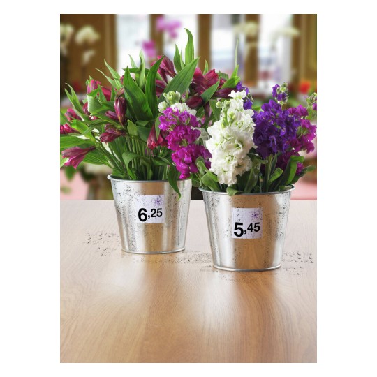 APPL Removable Labels 40TV UK