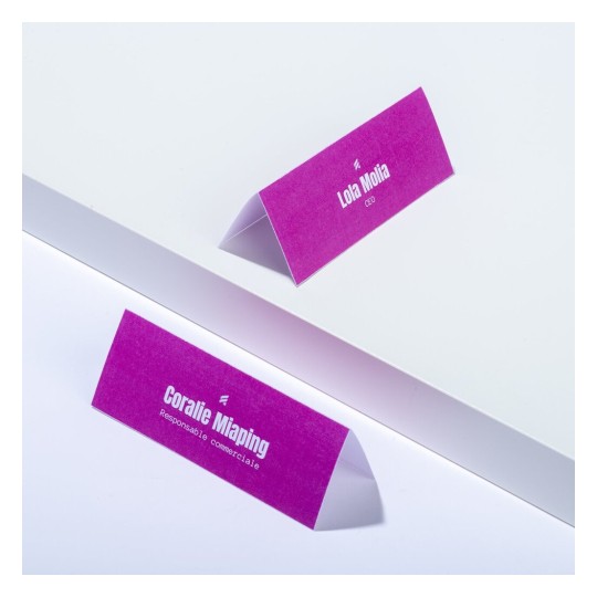 L'image montre deux supports de nom avec des noms et titres professionnels sur fond blanc. Le premier est pour Lola Molina, CEO, et le second pour Coralie Miaping, Responsable Commerciale.