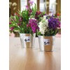 APPL Removable Labels 40TV UK