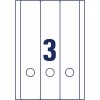 Etiquettes dos de classeur L4759-25 61 x 297 mm