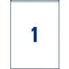 Pochettes de signalisation adhésives L7083-10 221 x 304 mm